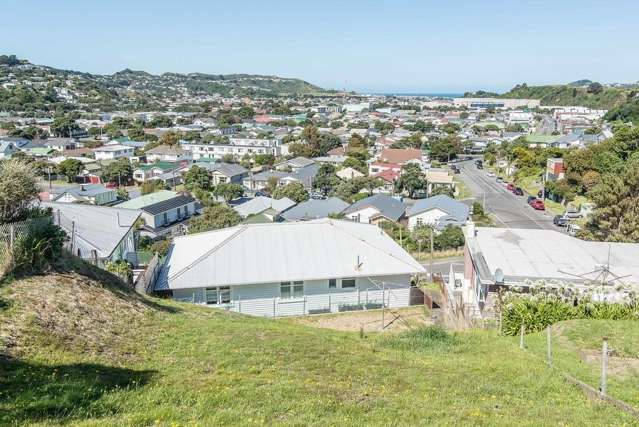 117 Tauhinu Road Miramar_2