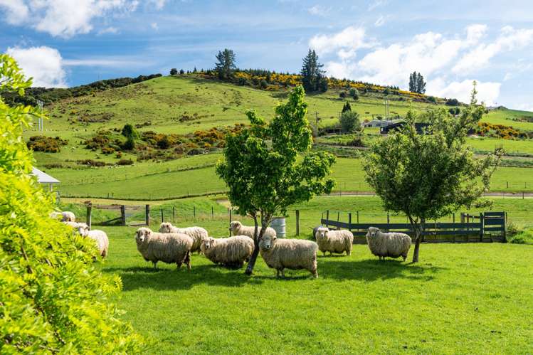 16 Tirohanga Road, North Taieri Mosgiel_49
