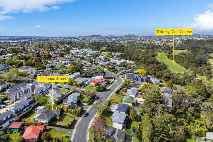 41 Taupo Street Green Bay_35