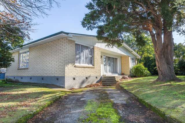 61 Guy Street Dannevirke_1