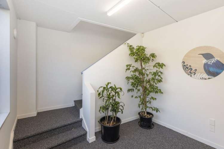 260B Port Hills Road Hillsborough_8