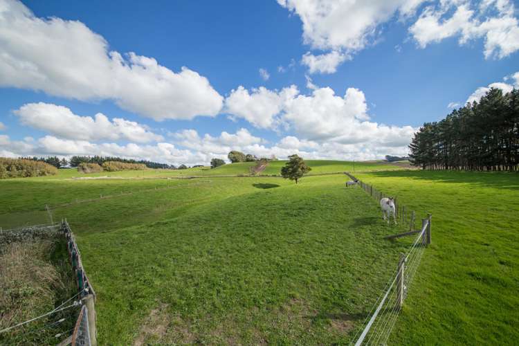 473 Lees Road Feilding_10