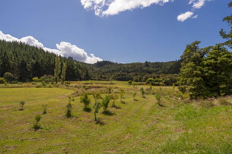 220 Mill Creek Road Kaimarama_14
