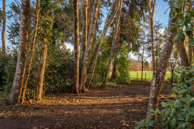 15 Woodlands Way Greytown_7