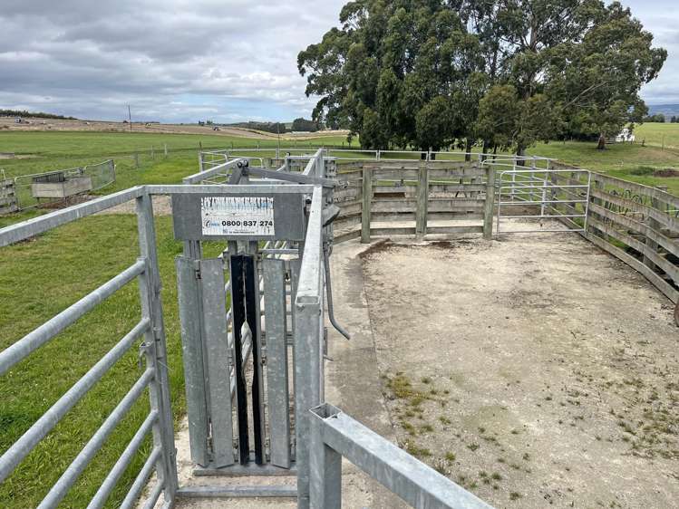 790 Alma-Maheno Road Reidston_9