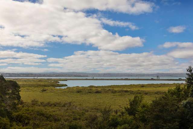 39 Saltaire Street Avondale_3