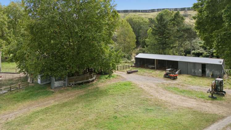 147A Pikowai Road Pikowai_6