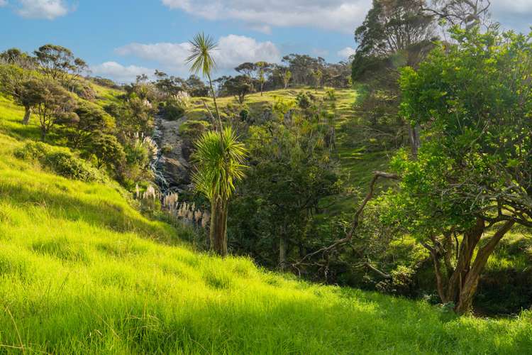 310 Robinson Road Whangarei Heads_16