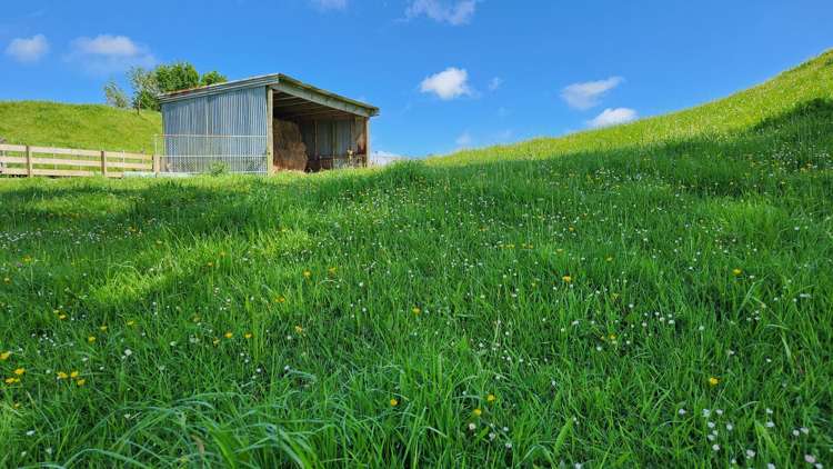 133 Kaimata Road Kaimata_12