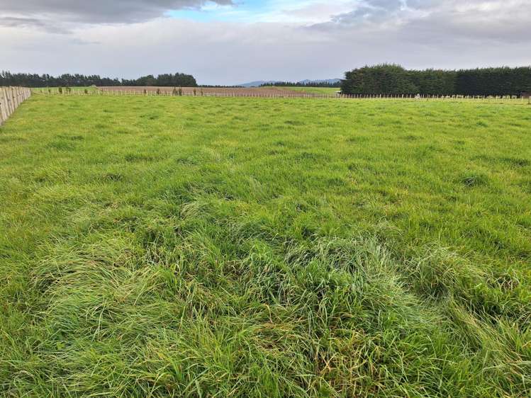 Lot Lot 1/49 Laws Road Dannevirke_5