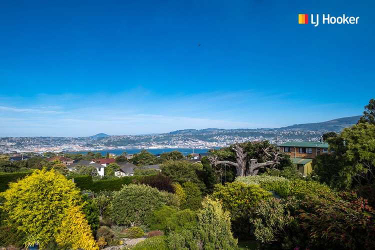 115 Belford Street Waverley_21