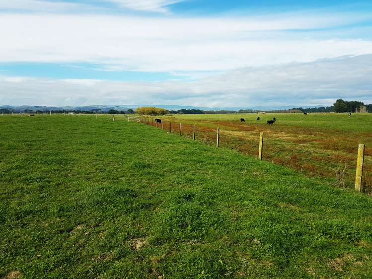 221 Troup Road Woodville_9