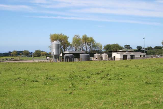 1641 Eltham Road Kaponga_4