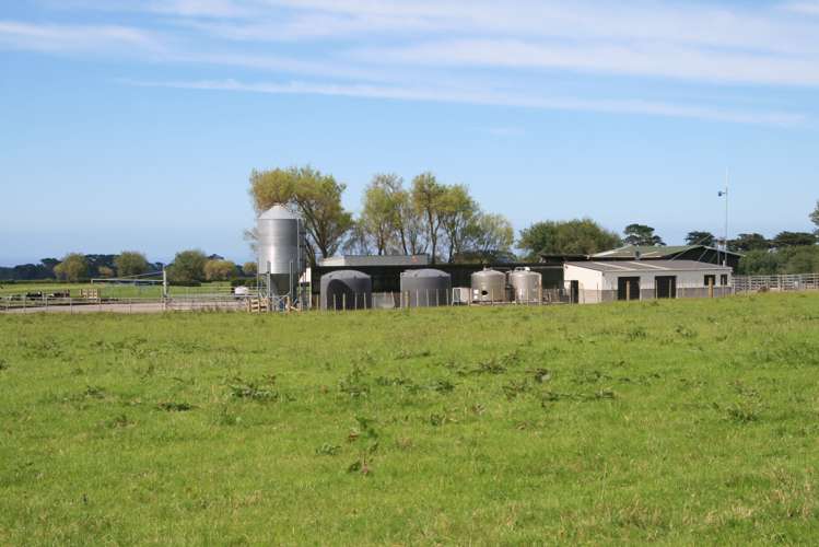 1641 Eltham Road Kaponga_12