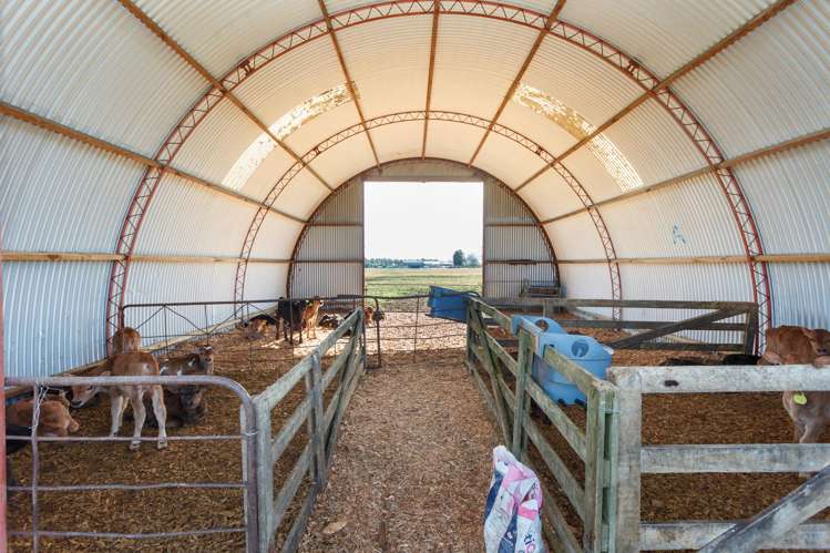 1 Gunn Road Matamata_10