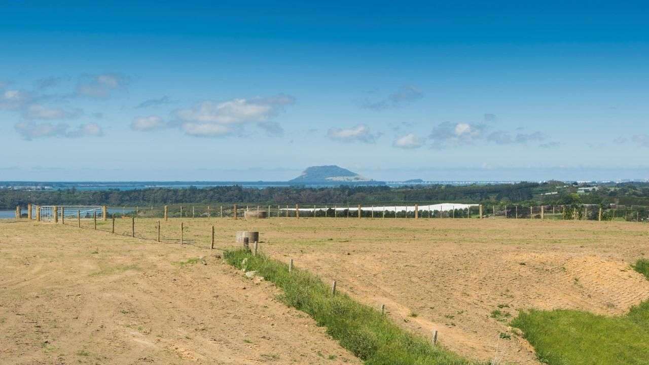 145c Whakamarama Road Whakamarama Western Bay Of Plenty Houses