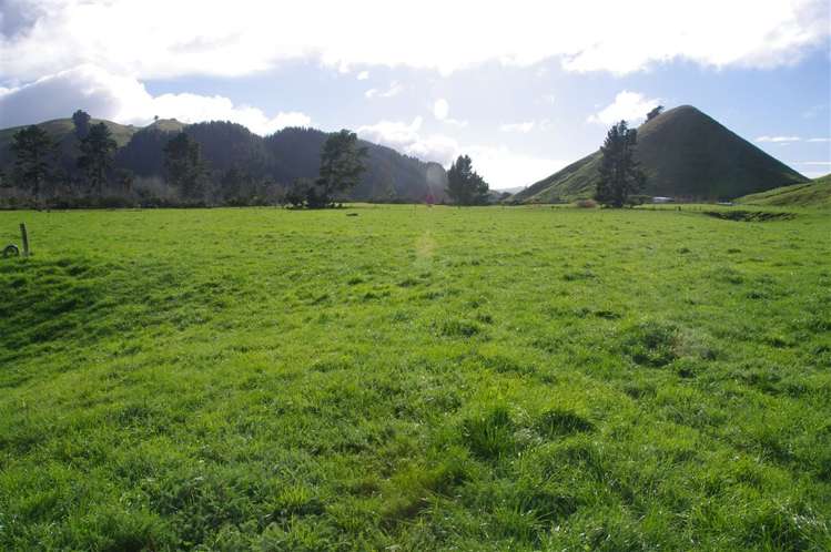 1943 Tutukau Road Wairakei and Surrounds_8