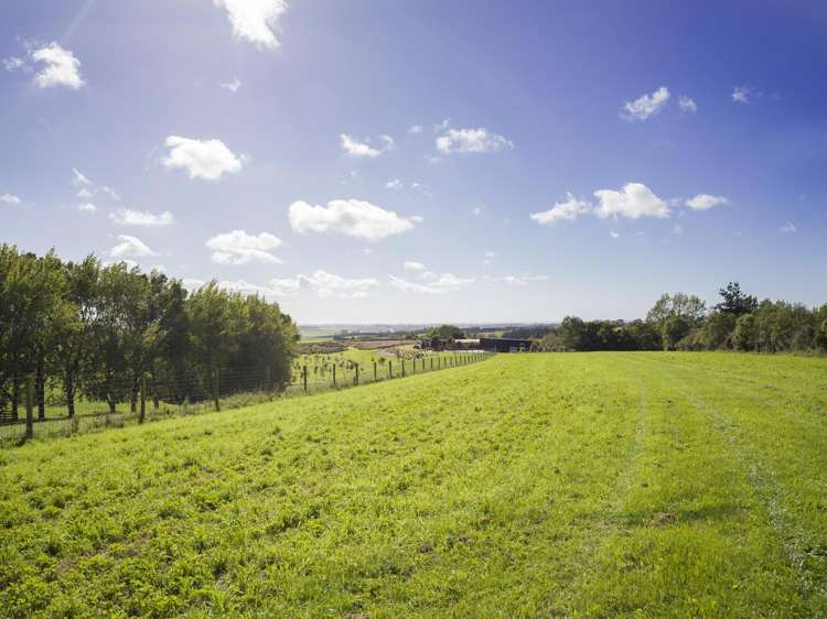 336 Spur Road Rosewill_21