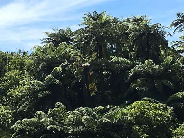 1313 Abel Tasman Drive Takaka_2