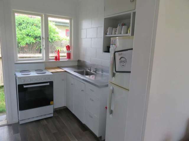 77a Albert Street Hamilton East_3