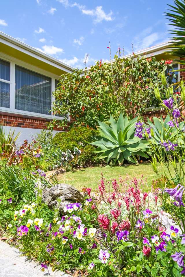 37 Cambridge Terrace Papatoetoe_4
