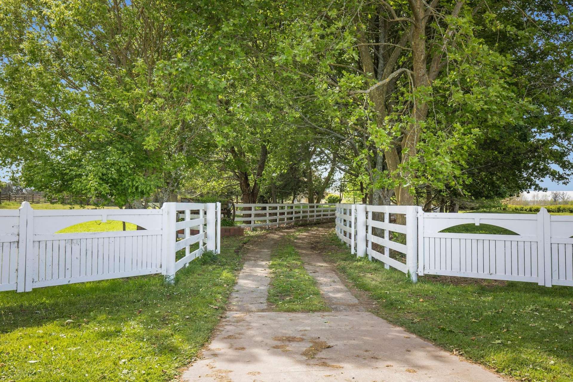 237 Taihoa South Road Matamata_0