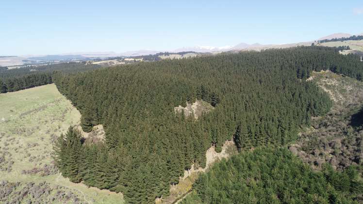 86 West Maerewhenua Road North Otago Surrounds_10