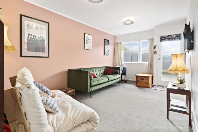 2/95A Freyberg Street Lyall Bay_1