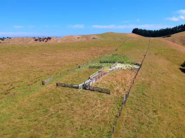 420 Hiranui Road Waipukurau_2