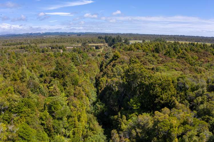 Lot 3 Kohimara Place Kumara_17