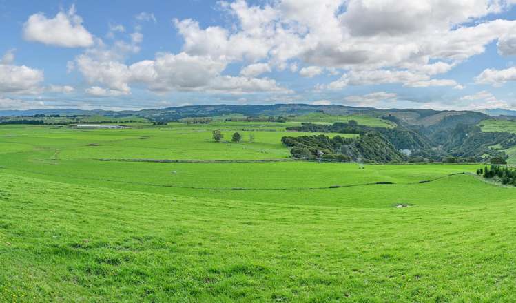 500 Willowford Road Waiwhare_35