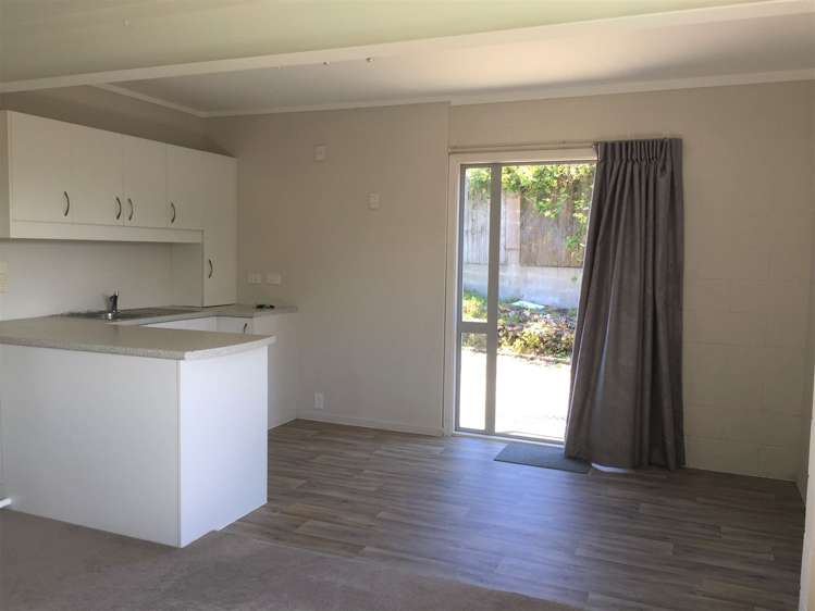 74 Carlton Street Hillsborough_23