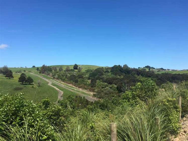 114 Griggs Road East Tamaki Heights_5