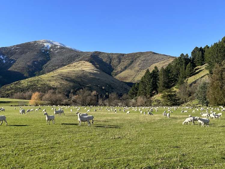 142 East Dome Station Road Lumsden Surrounds_19