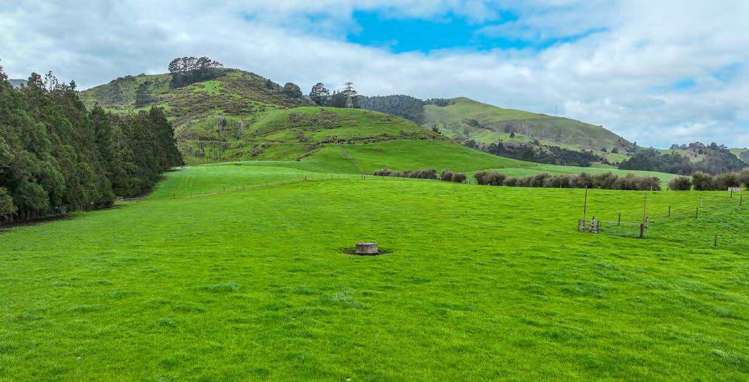 7541 State Highway 2 Paeroa_4