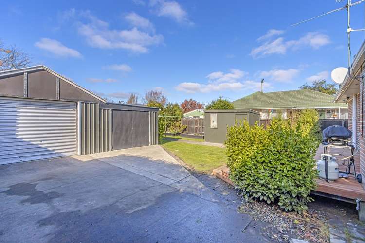 15 Wingate Street Redwood_5