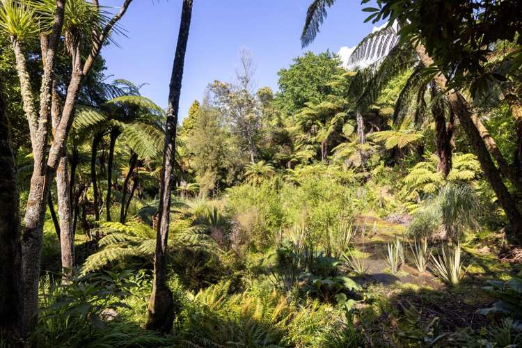 11B Stokes Road Katikati_23