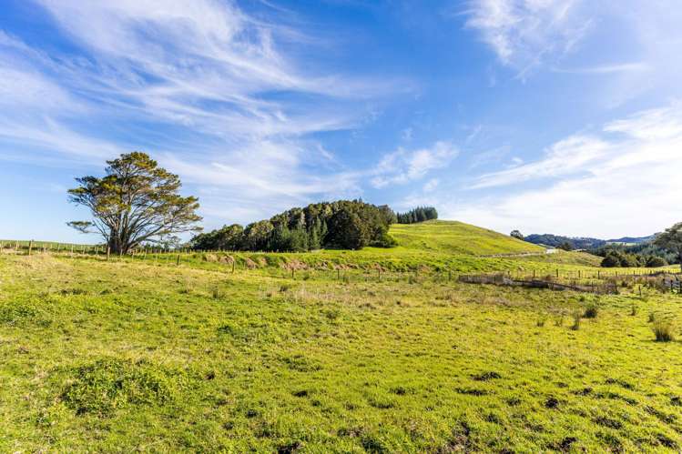 110 Whakapirau Road Maungaturoto_20