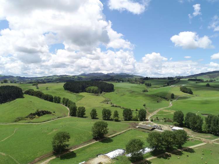 1250 Arapuni Road Parawera_25