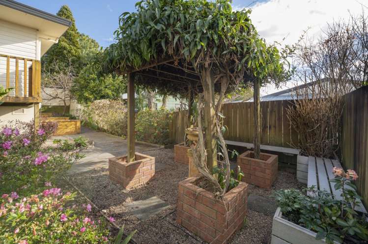 17b Hilltop Road Parkvale_12