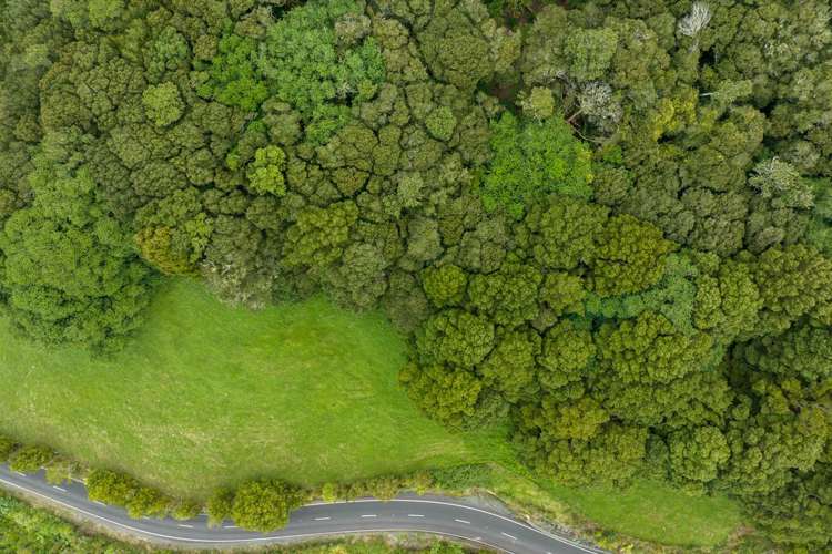 229 Hupara Road Pakaraka_6