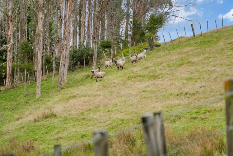 46 Waipuna Road Maunu_42