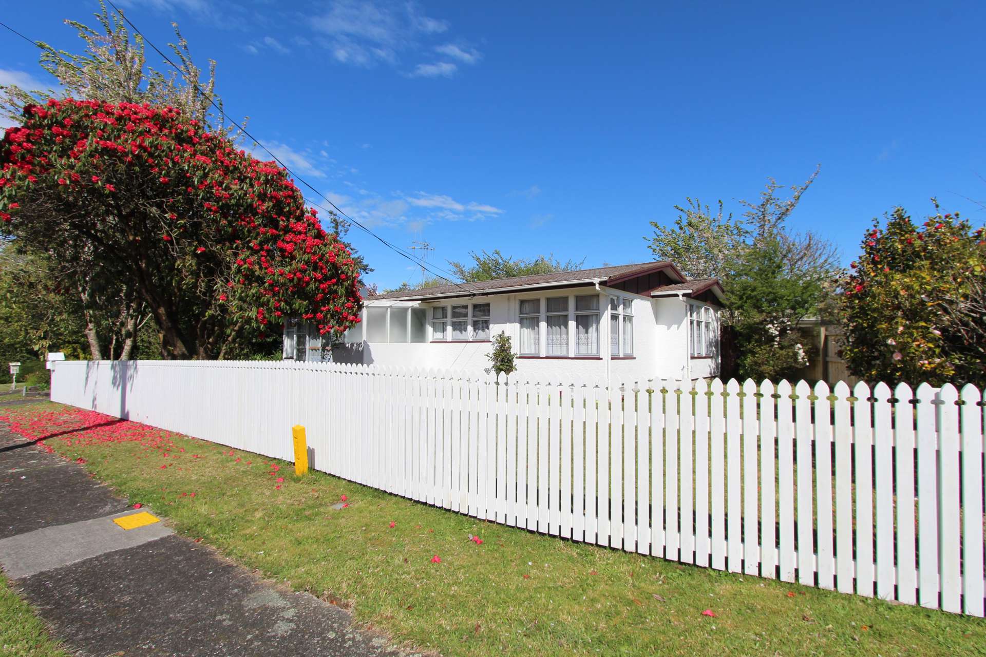 11 Benella Street Tokoroa_0