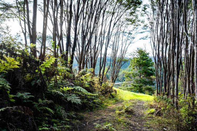 1458 Ngunguru Road Ngunguru_51