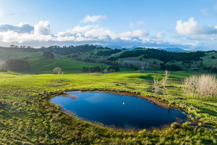 85 Lusk Road Ruawai_14