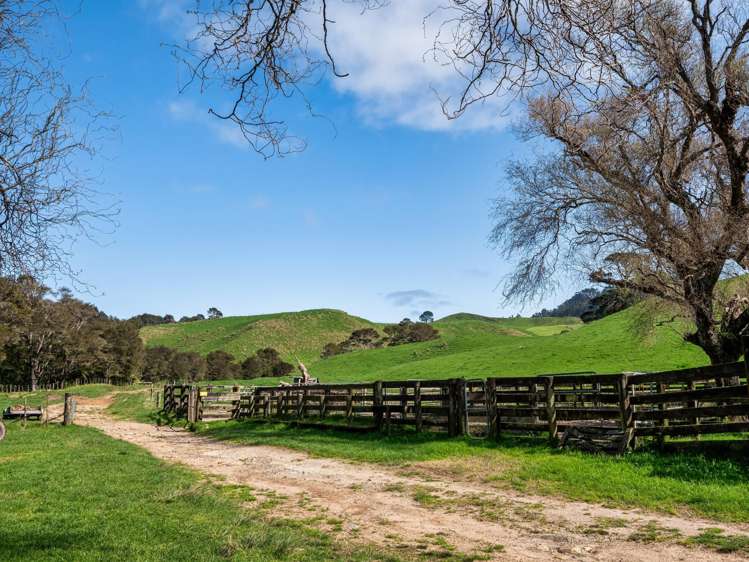 35 Canon Road Katikati_8