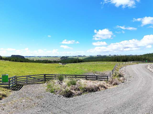 Lot 6 Babylon Coast Road Dargaville_4