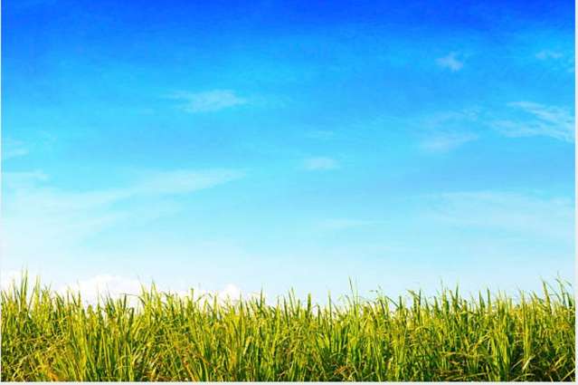 14 Putahi Crescent Opaheke_2