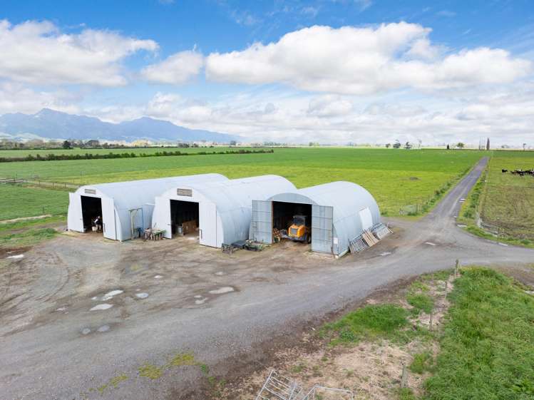 McKinley Road Te Aroha_15