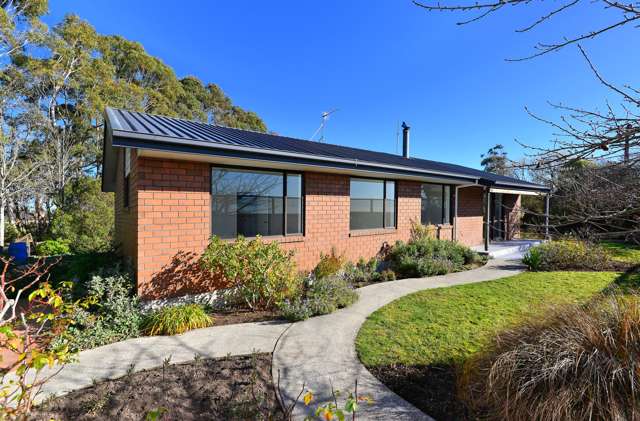 168 Timber Yard Road Leeston_1